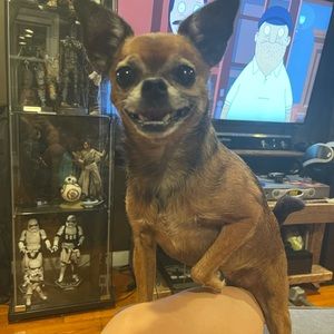 Meet your Posher, Alexandra